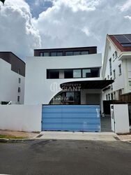 Serangoon Avenue 3 (D19), Detached #504087711